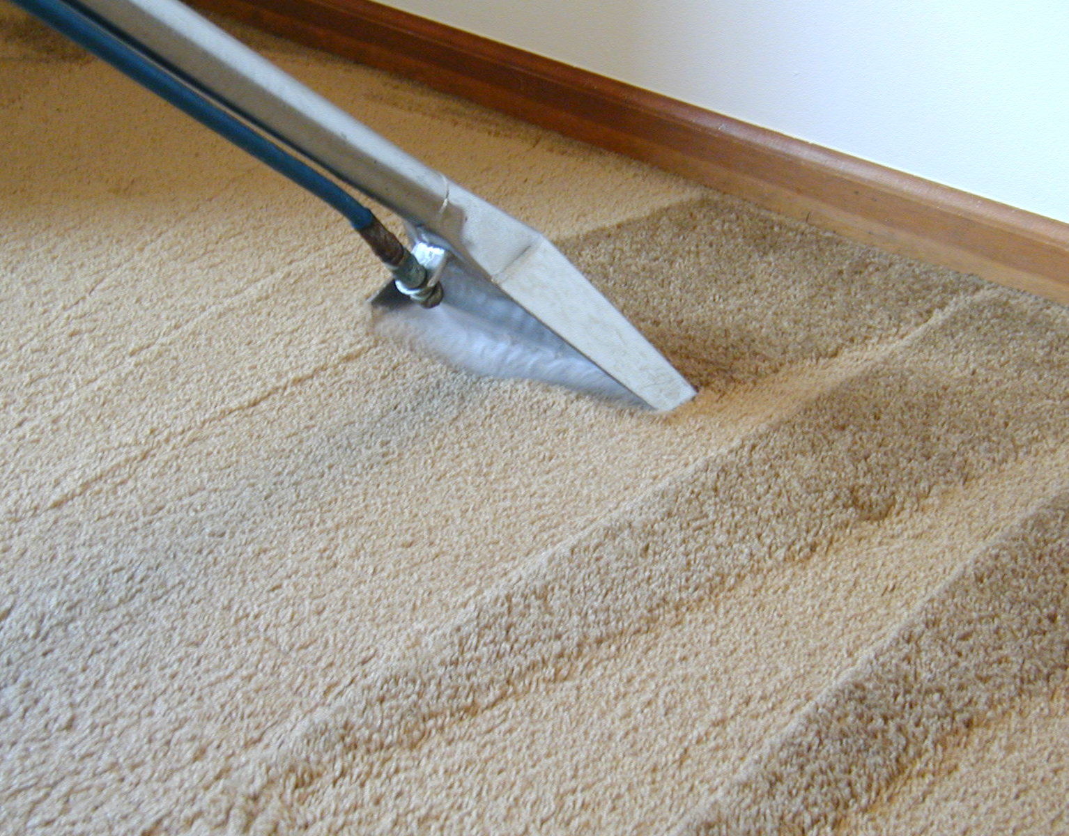 Warren Carpet Cleaning business image in Warren, MI