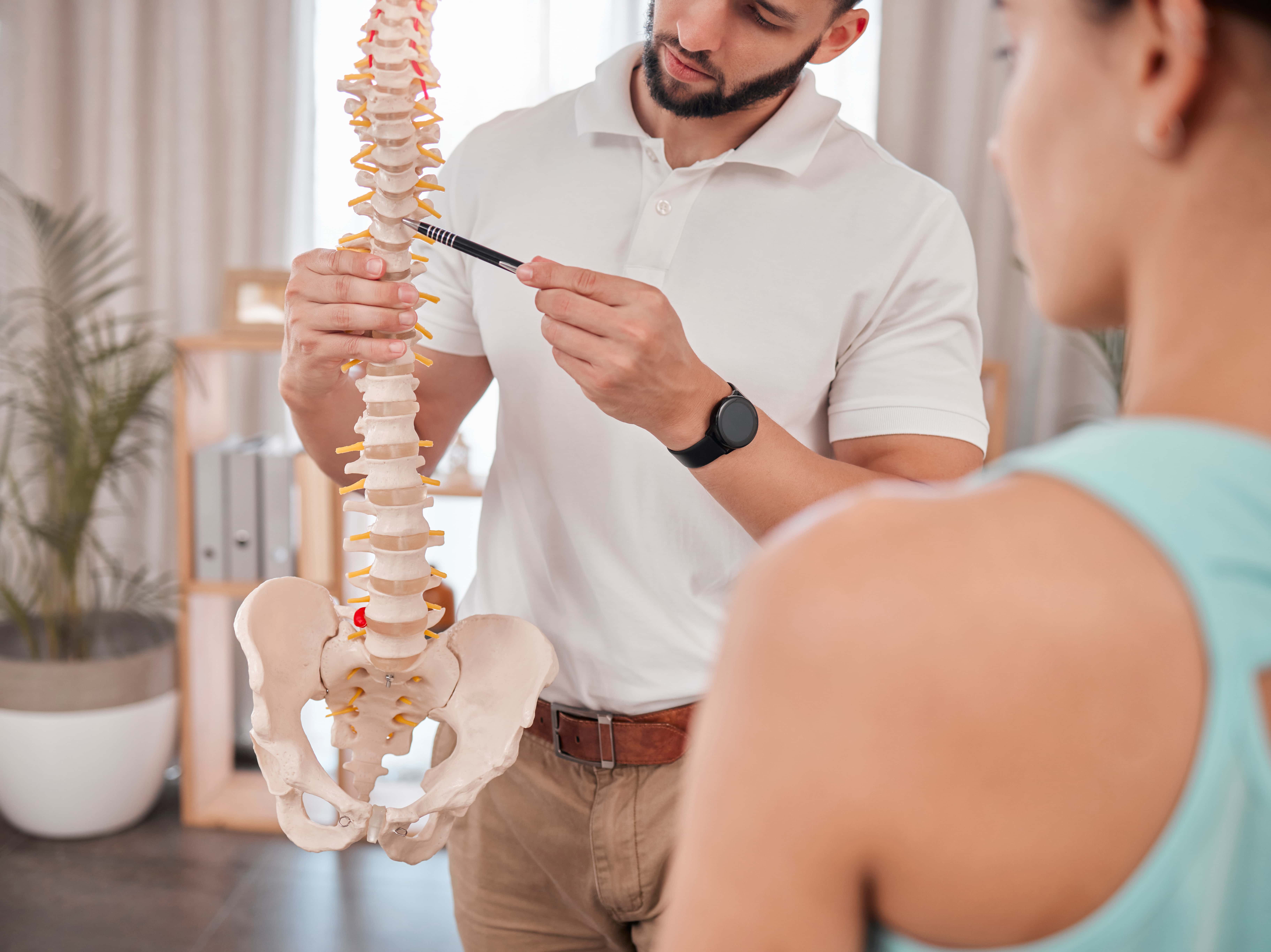 Grandview Health Partners Chiropractor Chicago business image in Chicago, Illinios