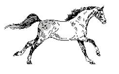 STALLION INC business image in Lithia Springs, GA